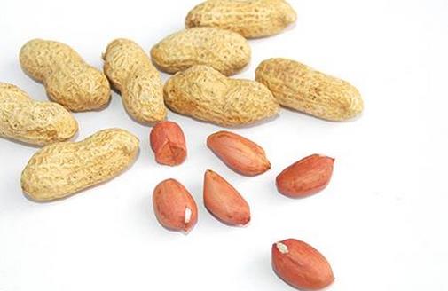 春季男人要怎么養(yǎng)生 清淡飲食多吃堅(jiān)果