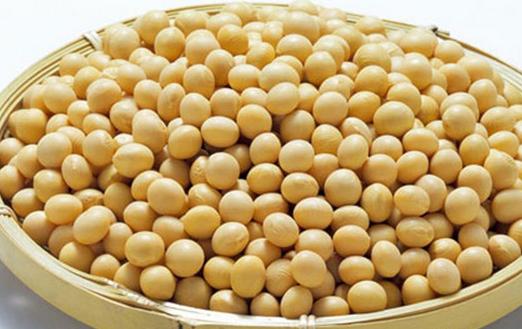 呵護女性乳房健康的9種食物