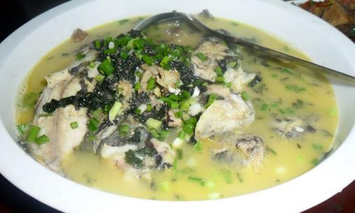 春季吃什么魚最營養?