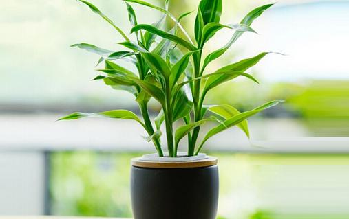 辦公白領養生法10步走 抗擊冬季疲勞癥