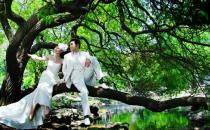 春節去哪里最好？春節旅游地推薦