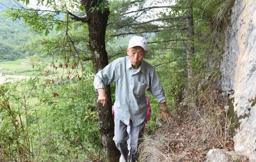 老人爬山有哪些關鍵點