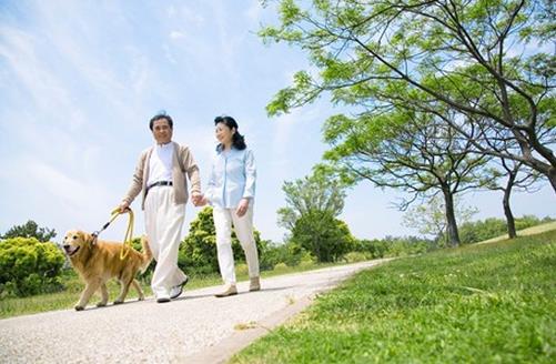 老人散步要注意哪些姿勢(shì)