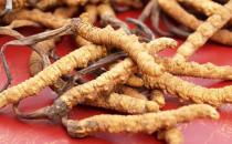 讓女人身體煥發新生的七味中藥