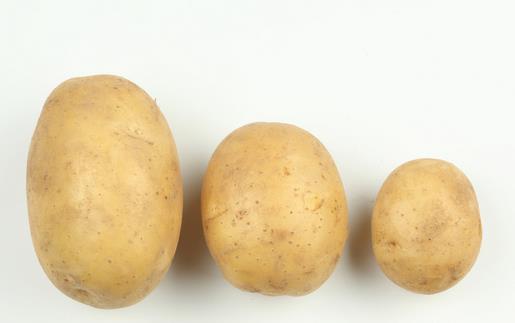 手把手教你巧做平民味美的土豆