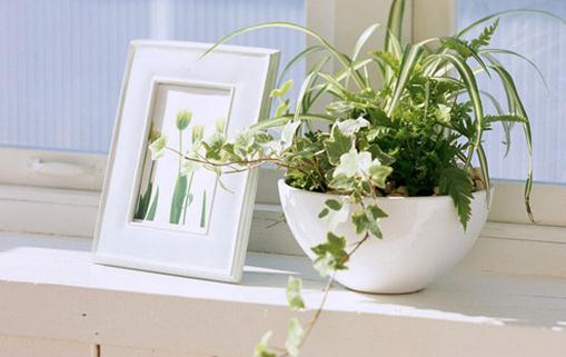 家里總是有灰塵怎么辦?