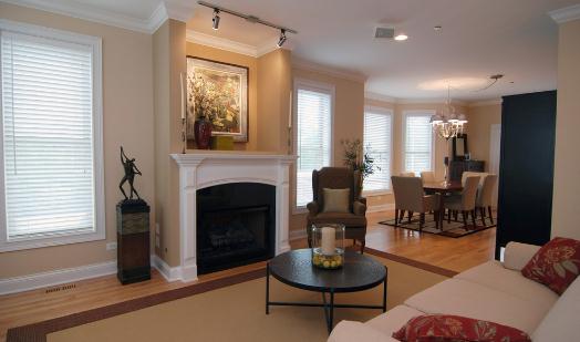 剛裝修好的房子放什么植物?