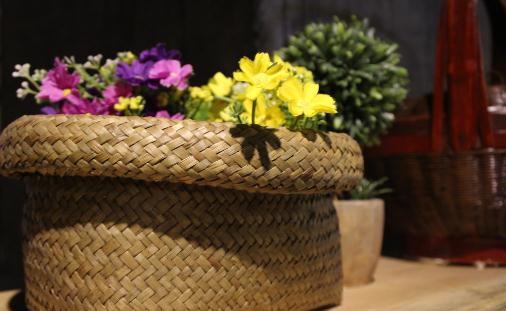 室內(nèi)植物如何選擇才正確？