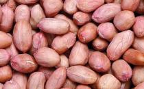 揭最養生的6類男人菜