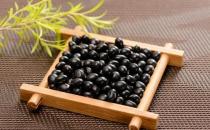 男性養生必知的補腎食物