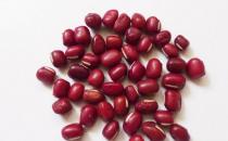 孕婦貧血該如何補充營養