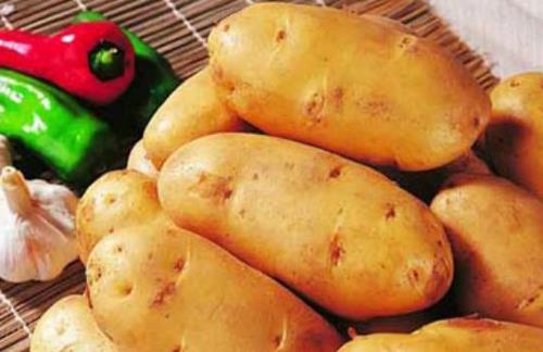 土豆長芽了還能吃嗎?土豆的營養做法
