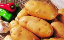 土豆長芽了還能吃嗎？土豆的營養做法