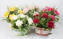 仿真花卉的選購知識和保養方法