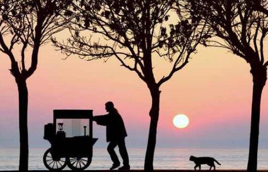 這些動作表明了他的心思你了解嗎?