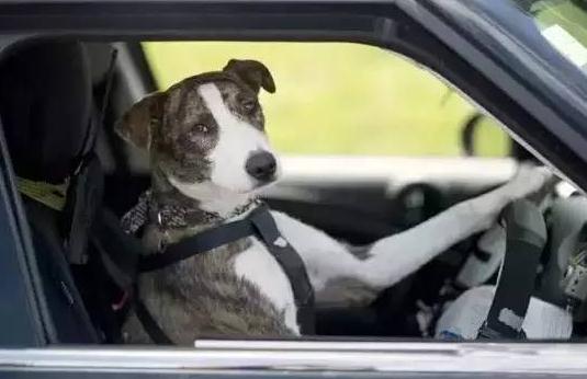 工作狂的病態心理解析