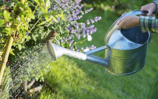 盤點職場常見的領導類型