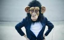 為什么你那么能干卻沒有被提升？