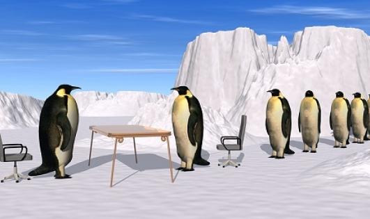 面試結(jié)束還需要做什么嗎?