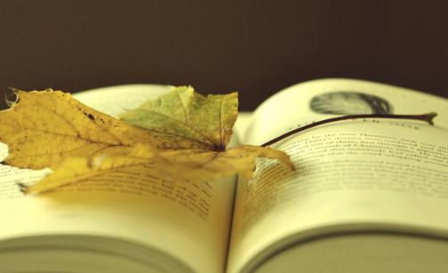 求職路上不要踩到這些雷區(qū)