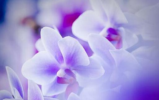 招聘季如何寫好你的個人簡歷?