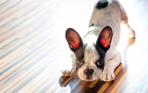 如何快速融入工作新環境?