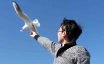 ?擁有這些心態(tài)更容易找到好工作