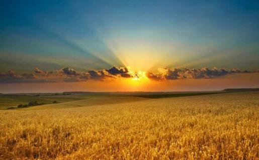 告訴你為什么秋天不能跳槽