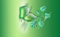 ?什么時候跳槽？為跳槽做好準備