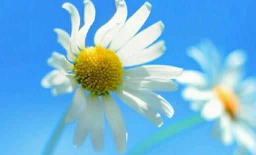 春節期間跳槽的理由:時間充裕