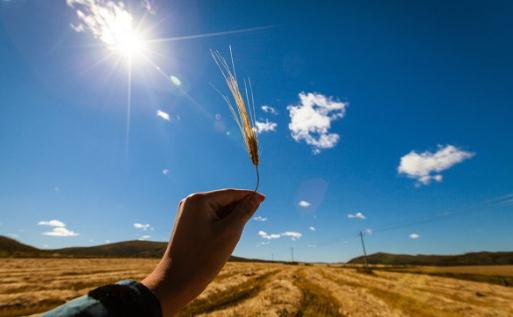 公司內部跳槽的成功法則