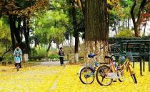 ?盲目轉行可能使職業滑坡