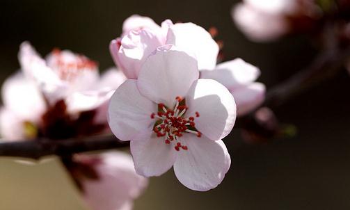 減壓方法助你快樂(lè)工作