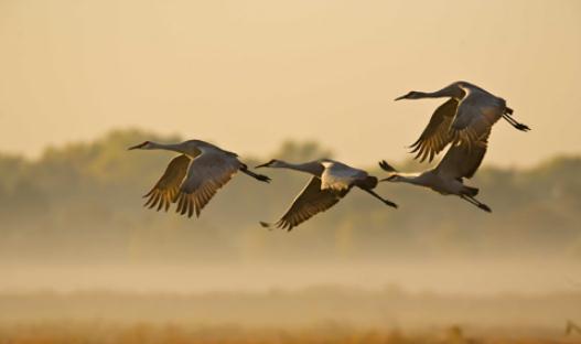 20個妙招讓你保持職場的新鮮感