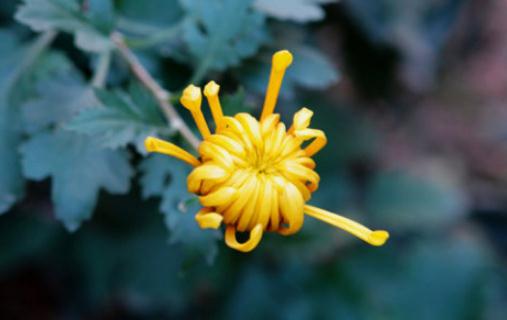 你在職場上為什么總是失敗