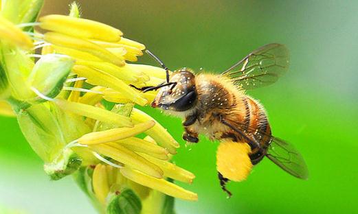 成功者會用這些話激勵自己