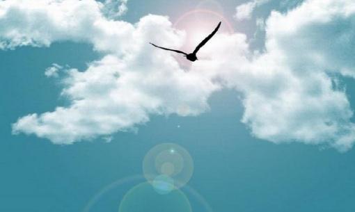 影響職場晉升的6個心理性格