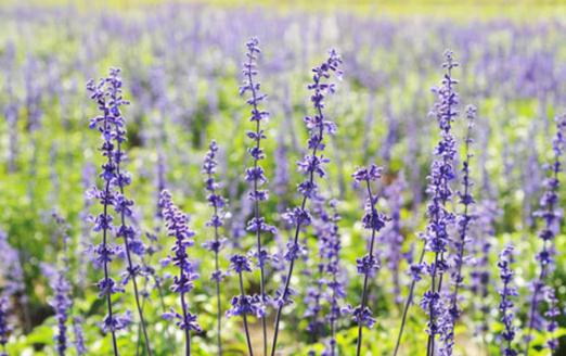 身在職場必須明白的“潛規則”