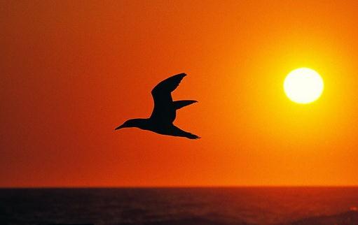 經驗分享:見習生對職場的感悟