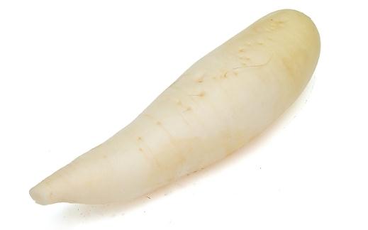 吃白蘿卜有什么好處?白蘿卜可以美容嗎?