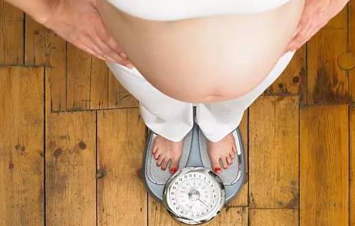 孕婦脂肪攝入過多增加死產風險