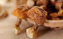 姬松茸的功效 兩款姬松茸美味食譜