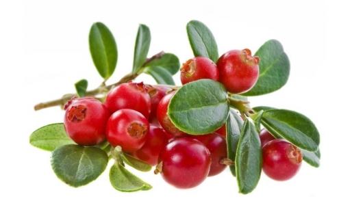 吃蔓越莓有什么好處？