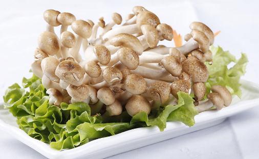真姬菇的營(yíng)養(yǎng)價(jià)值 真姬菇的做法