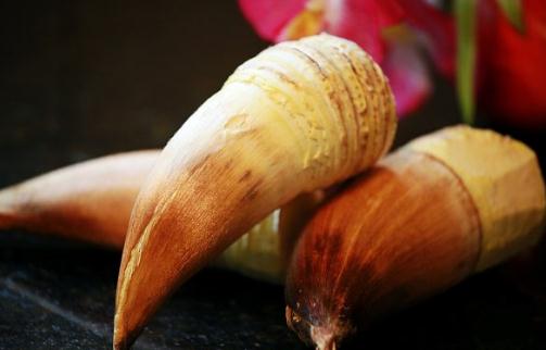 毛竹筍有什么功效？毛竹筍的做法