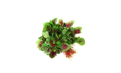 米莧菜是什么？米莧菜有什么功效？