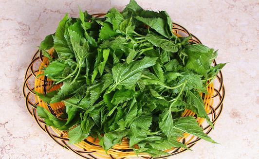 桑葚是寶 桑葚怎么吃最好？