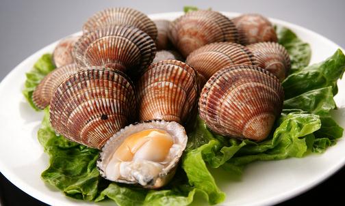 鳥貝是什么?鳥貝的做法