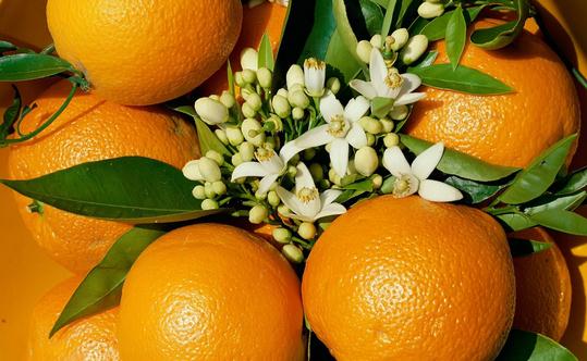 水果雖好 多食有什么危害？