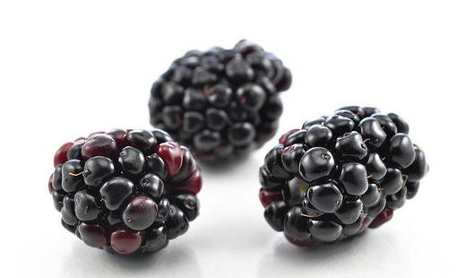 常吃桑葚有什么好處？桑葚的吃法